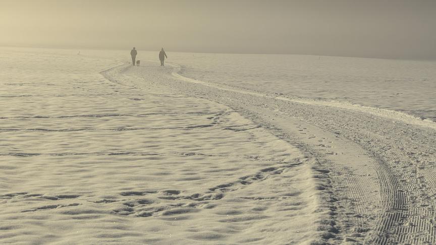 © Manfred Gasser Nebel beim Sonntagsspaziergang. (Manfred Gasser)