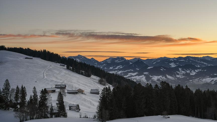 © Manfred Gasser Morgenstimmung am Dornbirner Bödele. (Manfred Gasser)