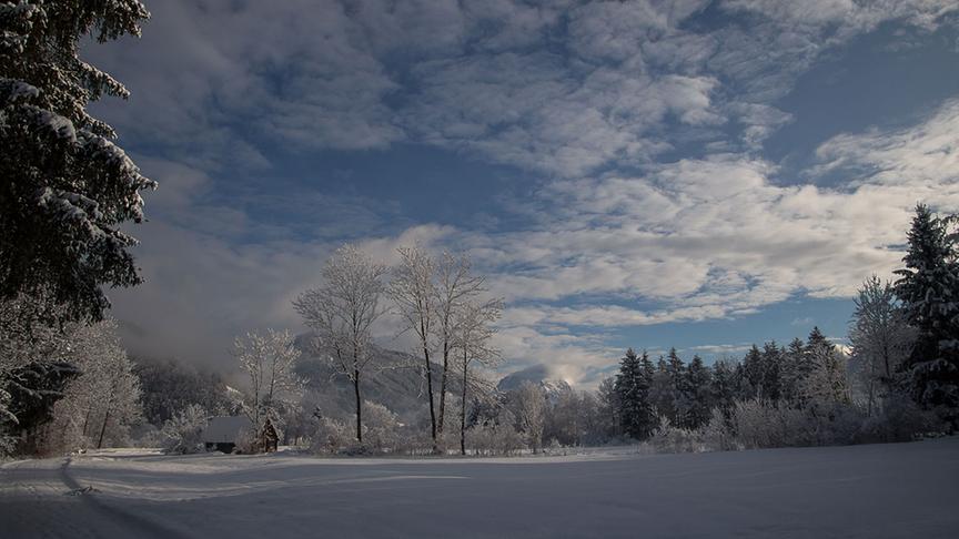 © Gerlinde Ainhirn Neuschnee in der Ennswiese vor Admont im Gesäuse. (Gerlinde Ainhirn)