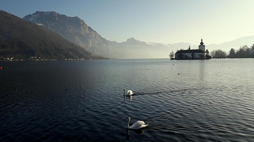 © Christa Katharina Dallinger Gmundner Schwanensee. (Christa Katharina Dallinger)
