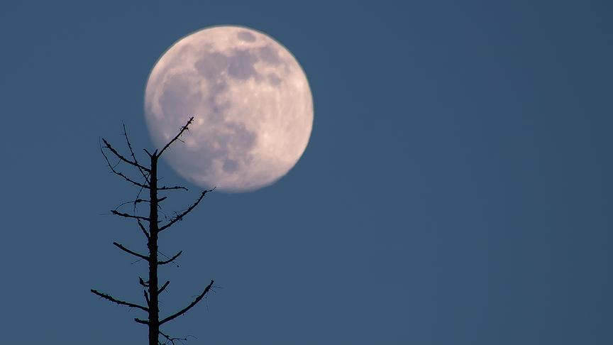 © Gerlinde Ainhirn Im Gesäuse ist der Mond eingezwickt. (Gerlinde Ainhirn)