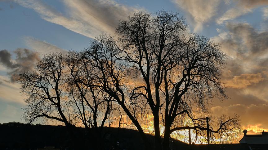 © Sabine Mayer Sonnenuntergang in Klosterneuburg. (Sabine Mayer)