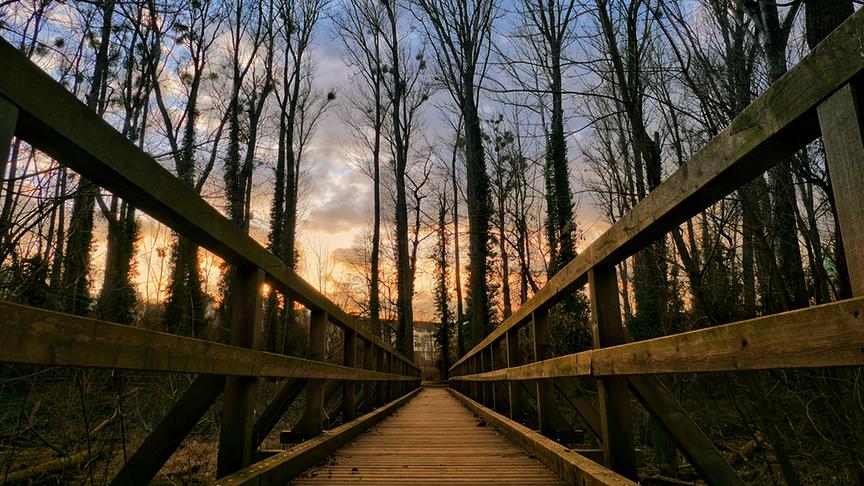 © Sabine Mayer Sonnenuntergang im Aupark. (Sabine Mayer)
