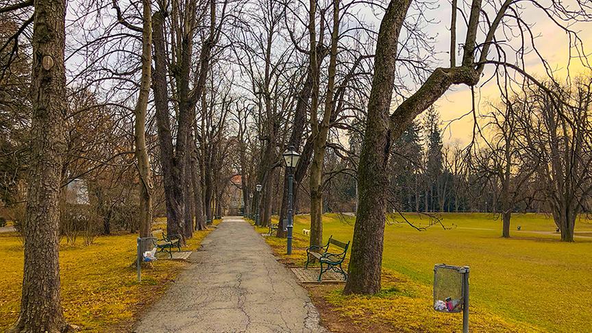 © Siegfried Schlager Einen Hauch von Frühling gibts auch schon bei der Eingangsallee zum Grazer Stadtpark. (Siegfried Schlager)