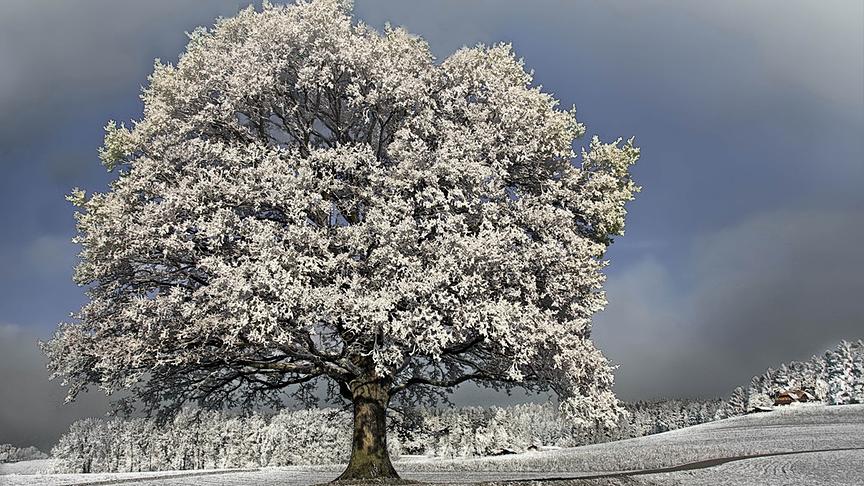 © Peter Grill Winterlandschaft bei Schwanenstadt Hausruckviertel. (Peter Grill)