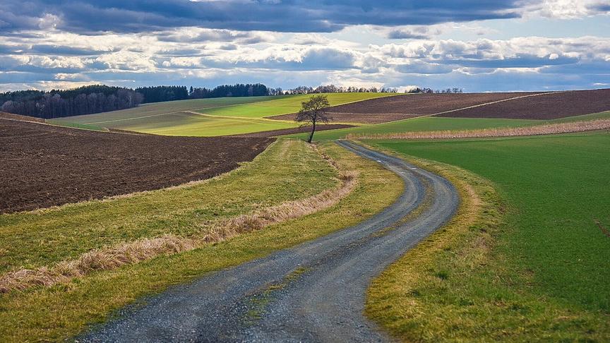 © Siegfried Schlager Oberwart: Der Weg in den Frühling. (Siegfried Schlager)