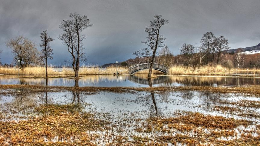 © Emma Sommeregger Am späten Nachmittag hatte ich die Gelegenheit, bei einem Spaziergang diese mystische Stimmung am Obertrumer See fotografisch festzuhalten. (Emma Sommeregger)