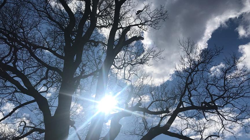 © Ines Kofler-Ehardt Spaziergang im Wiener Prater. (Ines Kofler-Ehardt)