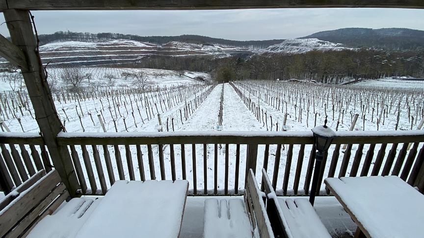 © Josef Nell Blick von unserer Buschenschankterrasse in den Weingarten (Seehöhe: 390 m, im Hintergrund der Klöcher Basaltsteinbruch). (Josef Nell)