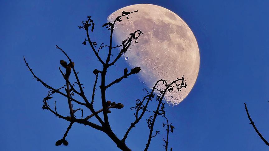 © Manfred Polansky Mondkrater in den Tagen vor Vollmond. (Manfred Polansky)