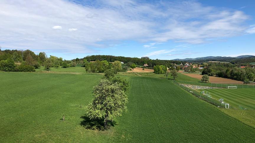 © Elfriede Barth Idyllischer Frühlingsmorgen mit Blick über das Burgenländische Bad Tatzmannsdorf. (Elfriede Barth)