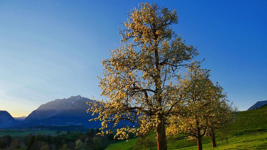 © Roman Lassacher Landschaftsfoto vom Mitterberg in Richtung Westen. (Roman Lassacher)