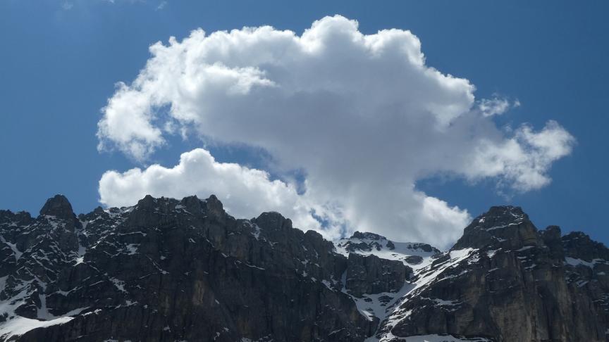 © Ferdinand Mader Bergsommer 2020 in Österreich. (Ferdinand Mader)