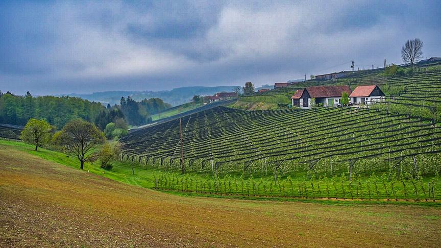 © Siegfried Schlager Tolle Stimmung an der steirischen Apfelstrasse in Puch bei Weiz. (Siegfried Schlager)