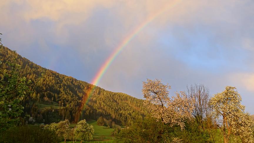 © Annelie Möser Nach einem verregneten Tag kommt am Abend kurz vor ihrem Untergang die Sonne heraus und zaubert diesen herrlichen Regenbogen. (Annelie Möser)