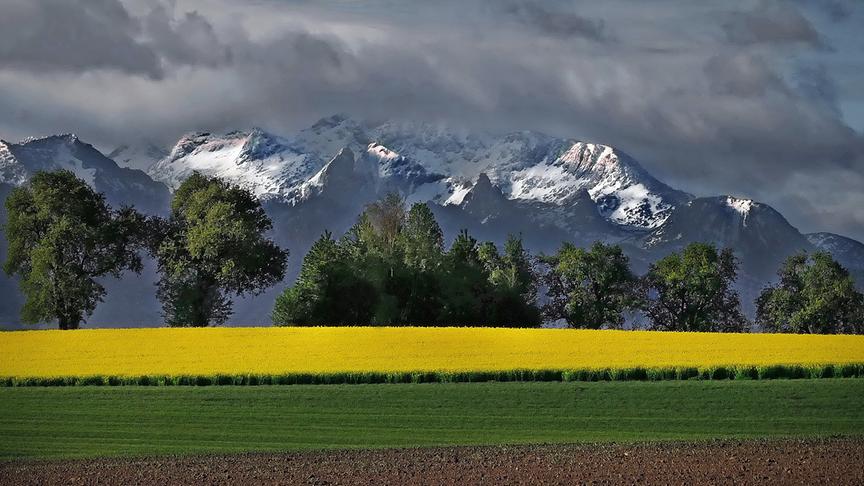 © Peter Grill Landschaft bei Ohlsdorf, im Hintergrund das Höllengebirge. (Peter Grill)