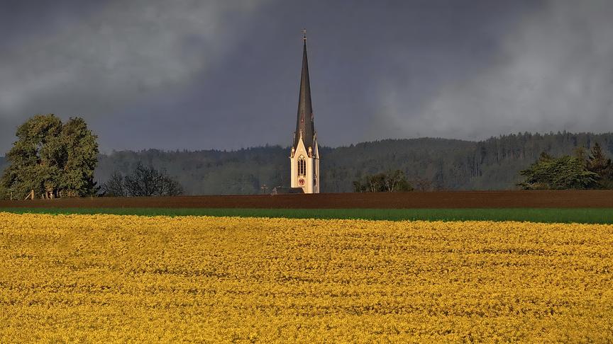 © Peter Grill Frühling in Schwanenstadt. (Peter Grill)