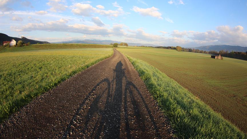 © Walter Hochfellner Fahrradschatten in der morgendlichen Sonne im Murtal. (Walter Hochfellner)