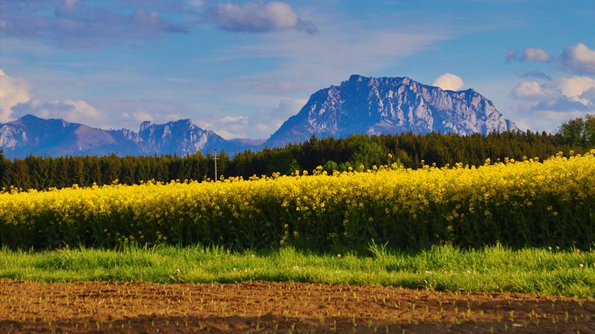 © Martin Grill Blick auf den Traunstein. (Martin Grill)