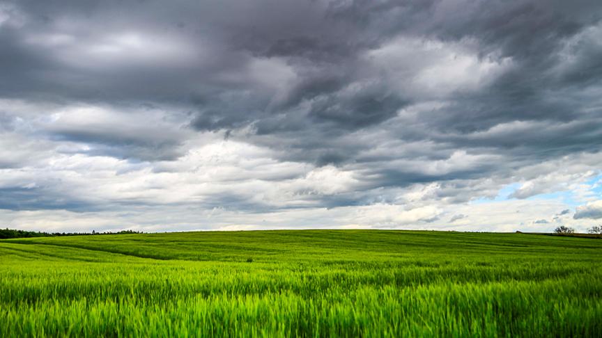 © Wolfgang Franz Fürstenfeld - Gewitterwolken. (Wolfgang Franz)