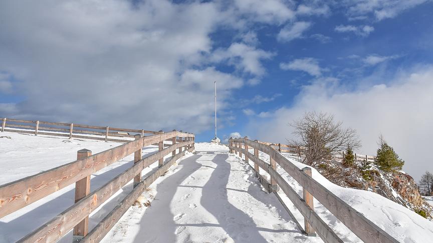 © Unterrainer Lydia Auf der Suche nach Schnee, wieder auf die Sonne gestoßen. (Unterrainer Lydia)