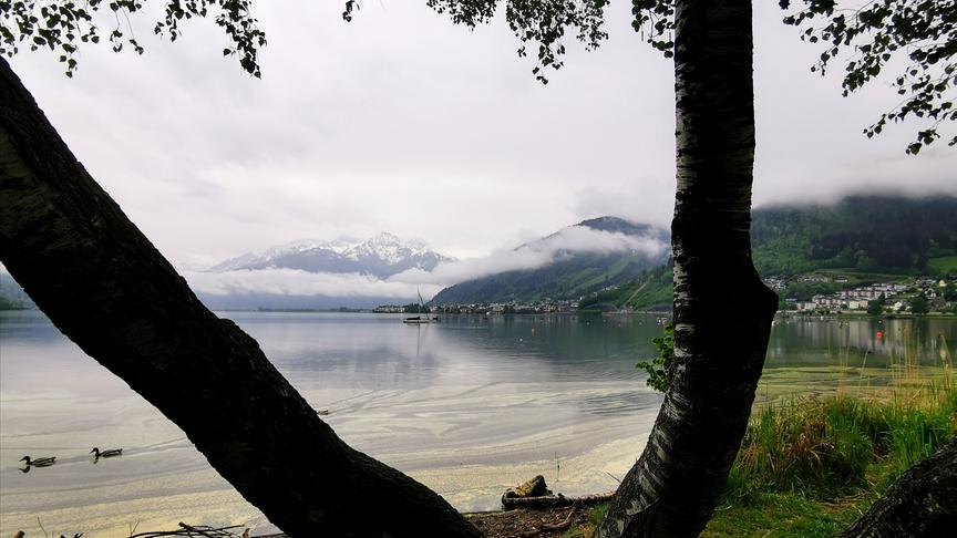 © Georg Ackerer Mystische Morgenstimmung am Zeller See. (Georg Ackerer)