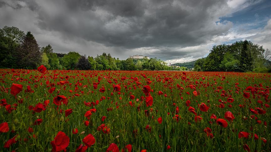 © Simon Krieg Wundervolle Stimmung kurz vor dem Regen hinter dem ORF-Zentrum Salzburg. (Simon Krieg)
