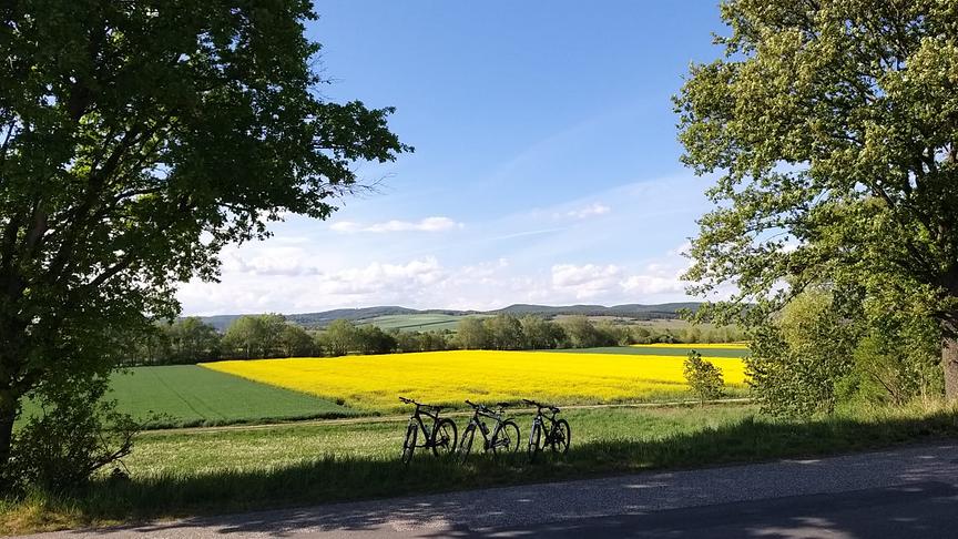 © Roman Wegscheidler Farbenspiel im Blaufränkischland. (Roman Wegscheidler)