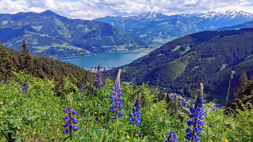 © Georg Ackerer Ein wundervoller Blick ins Tal von der Sonnalm auf Zell am See. (Georg Ackerer)