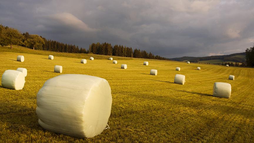 © Maria Fank Futterernte Siloballen Landwirtschaft. (Maria Fank)