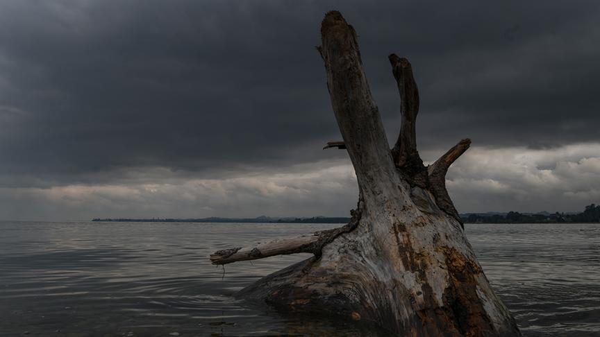 © Manfred Gasser Regenwolken heute in Bregenz am Bodensee. (Manfred Gasser)