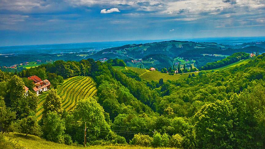 © Siegfried Schlager Stimmungsvolle Hügellandschaft im Raum Leibniz. (Siegfried Schlager)