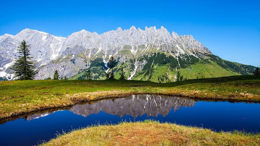 © Christa Kramer Der Hochkönig spiegelt sich in einer kleinen Lacke. (Christa Kramer)