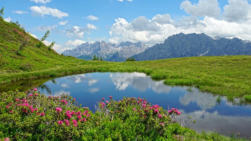 © Annelie Möser Blick auf die Lienzer Dolomiten. (Annelie Möser)
