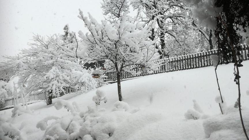 © Andrea Tutschek Schnee, Abschleppen, heruntergebrochene Bäume und Schneemassen. (Andrea Tutschek)