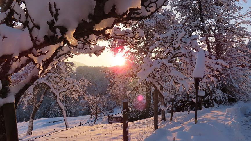 © Rudolf Kössl Wunderbarer Sonnenuntergang am Grestner Hockogel. (Rudolf Kössl)