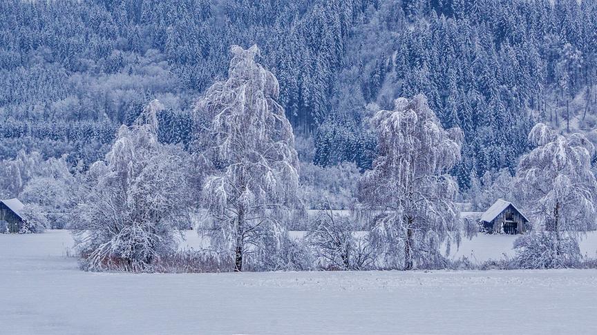 © Siegfried Schlager Tiefer Winter bei Wald am Schoberpass. (Siegfried Schlager)