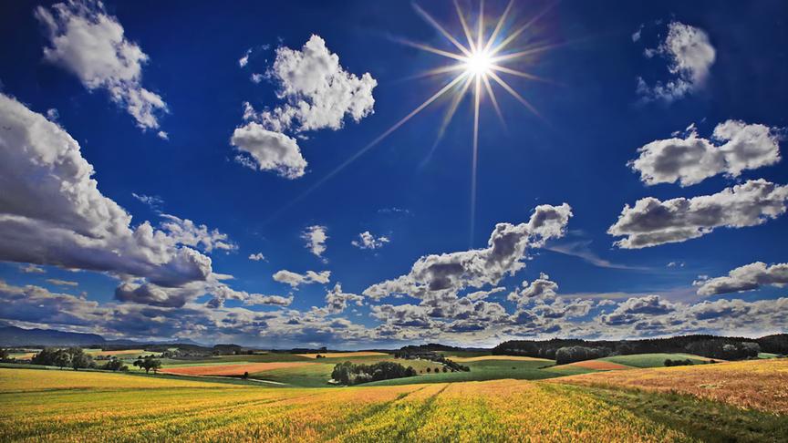 © Peter Grill Vieleicht wird es doch noch Sommer im Hausruck bei Schwanenstadt. (Peter Grill)