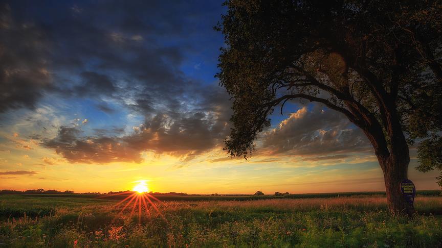 © Reinhard Eiböck Sommerabend bei Utzenlaa im Bezirk Tulln. (Reinhard Eiböck)