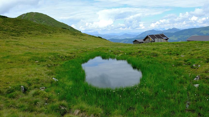 © Roberto Moresco Schnappschuss des Tages: Breiteggalm Wildschönau. (Roberto Moresco)
