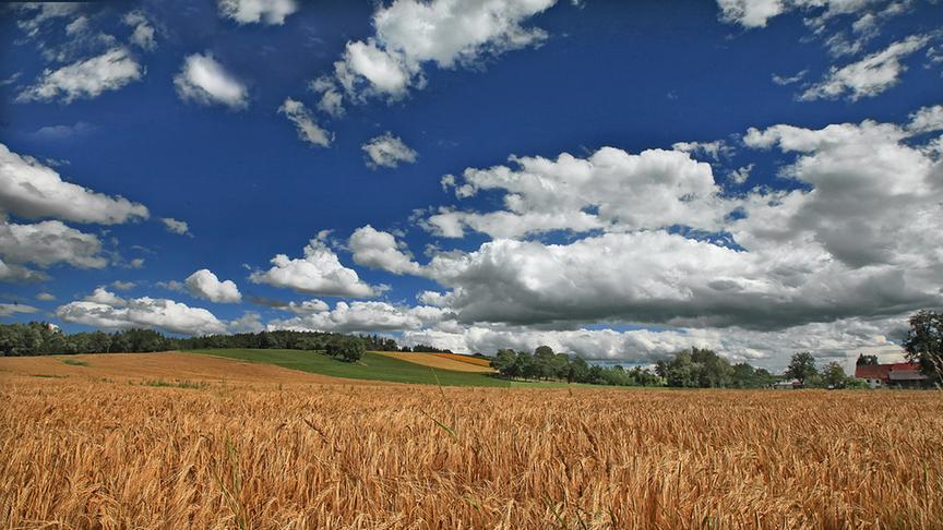 © Peter Grill Das Wetter wird schöner, es ist wieder Sommer. (Peter Grill)