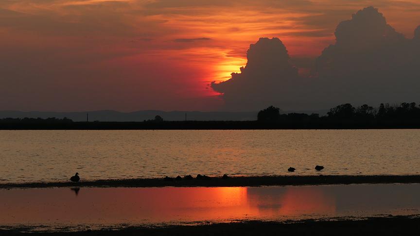 © Jutta Thürnbeck Sonnenuntergang Zicksee/St. Andrä. ( Jutta Thürnbeck)