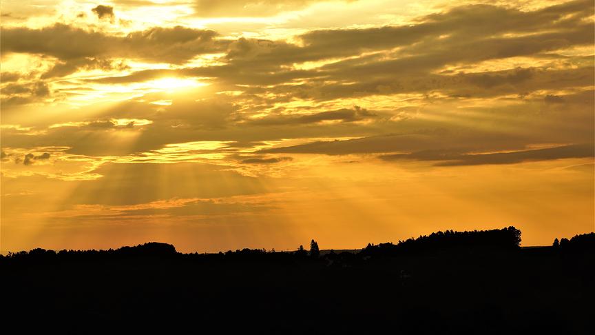 © Karl Zettelbauer Einen goldigen Guten Morgen. (Karl Zettelbauer)
