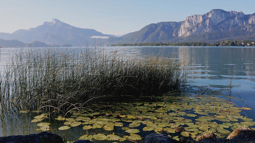 © Maria Meindl Mondsee mit Schafberg und Drachenwand. (Maria Meindl)