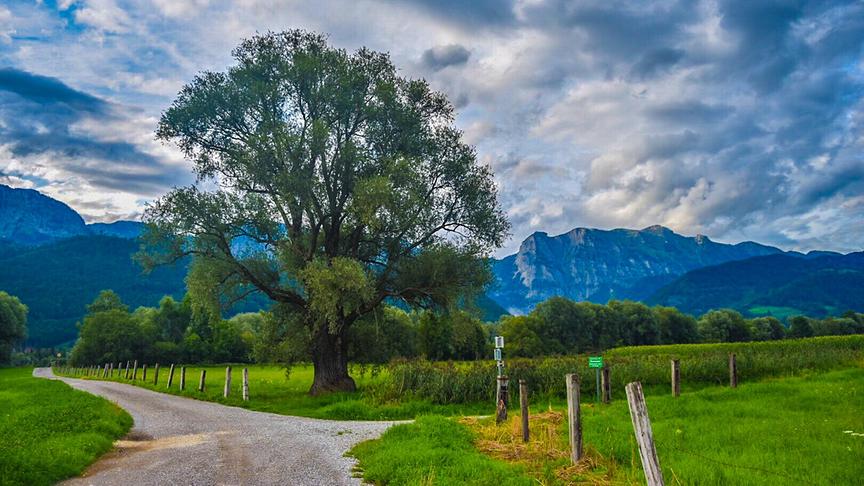 © Siegfried Schlager Wechselhafte Wolkenstimmung bei einer Weggabelung im Ennstal. (Siegfried Schlager)
