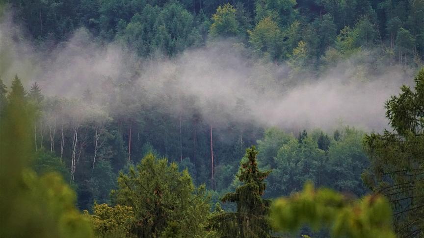 © Karl Zettelbauer Der Nebel zieht wie ein Wurm durchs Land. (Karl Zettelbauer)