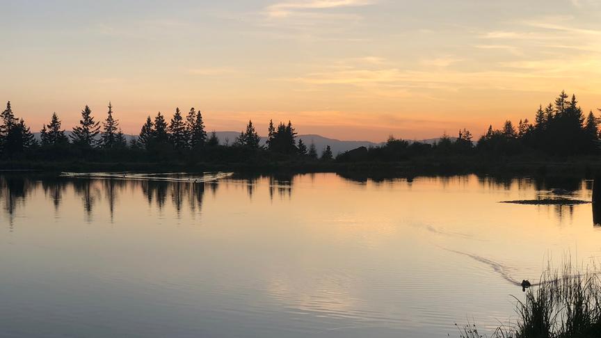 © Tessa Imrich Sonnenuntergang am Hebalmsee. (Tessa Imrich)