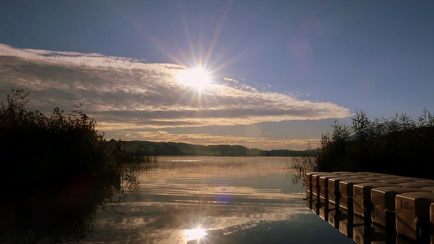 © Caro Guttner Goldener Morgen am Turnersee. (Caro Guttner)