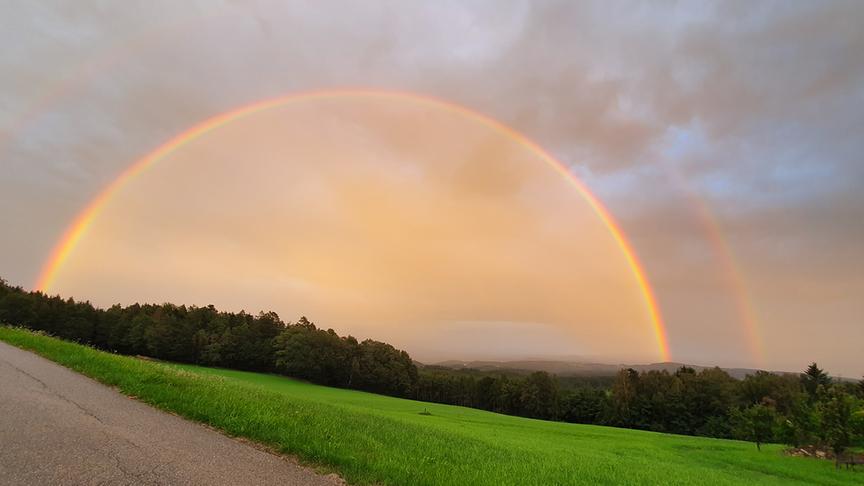 © Thomas Pospichal Ein wunderschöner Regenbogen strahlte gestern über den saftig grünen Wiesen vom Höfleshof. (Thomas Pospichal)
