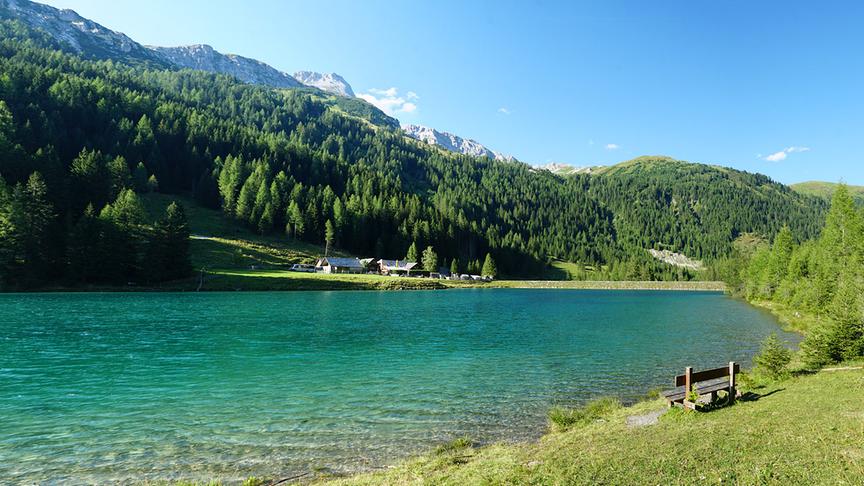 © Annelie Möser Am Schlierersee im Naturpark Riedingtal. (Annelie Möser)